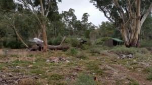 20150416_153811 - Copy