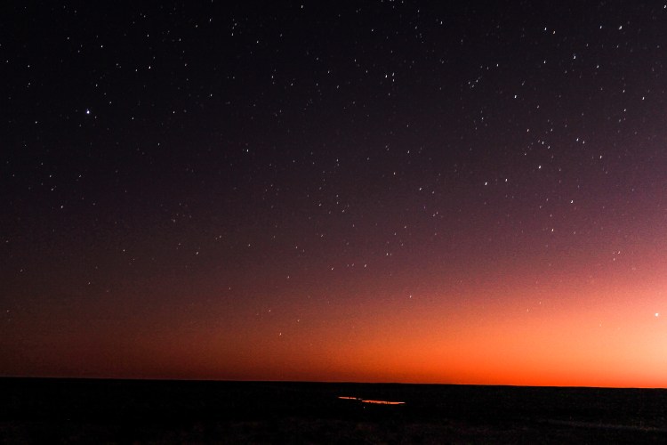 Birdsville track (1 of 1)