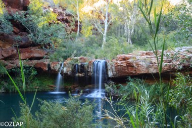 Karijini - Fern Pool (22)