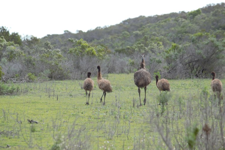 Lincoln National Park e