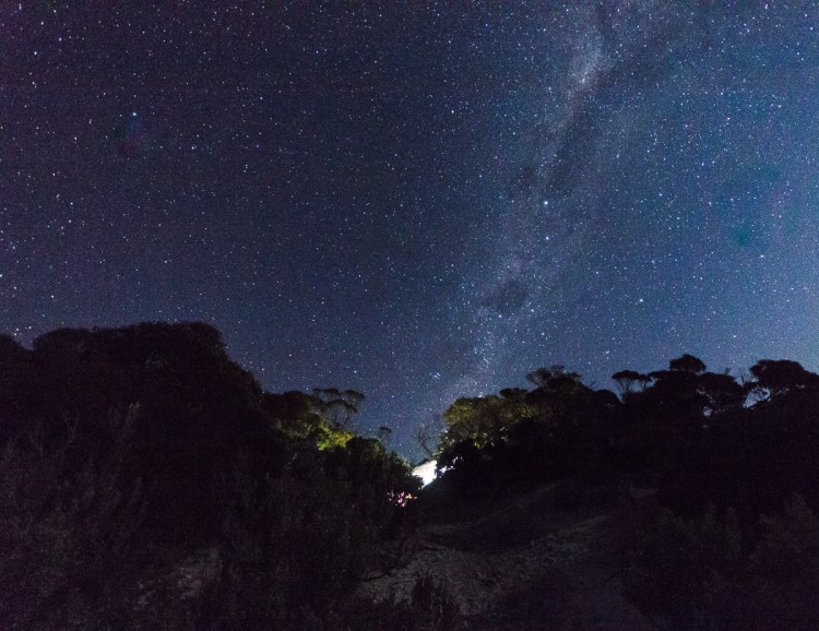 Stars Memory Cove Lincoln NP (2 of 1)