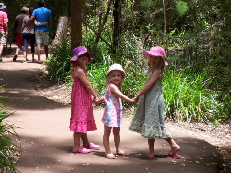 11988782_10153763806476907_4806660613147438245_n