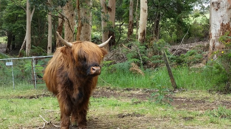 20151109_112022 - Copy