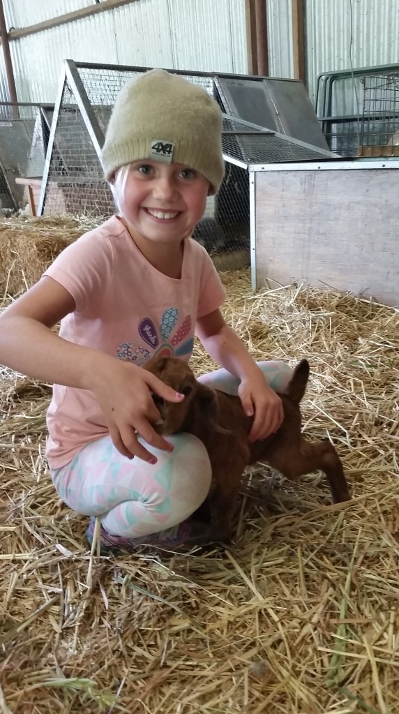 20151109_113108 - Copy