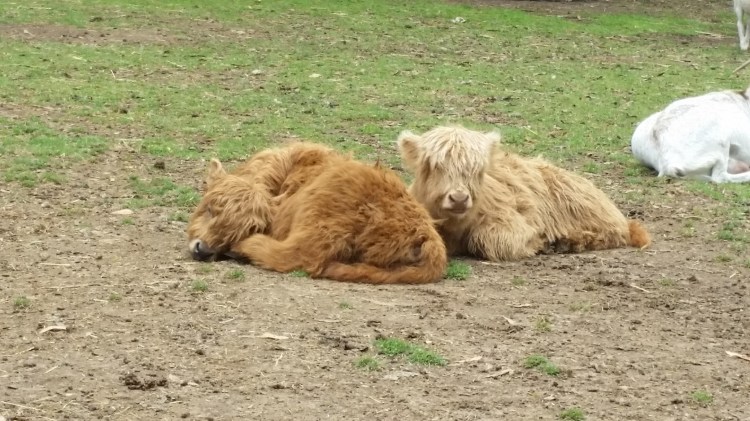 20151109_113801 - Copy