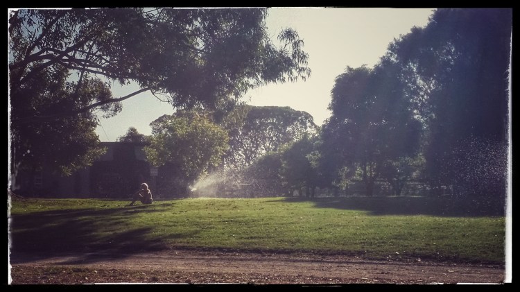 20151116_171833-01 (1)