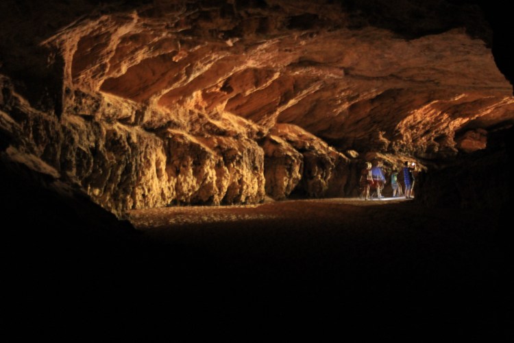 Stockyard Gully NP (10)