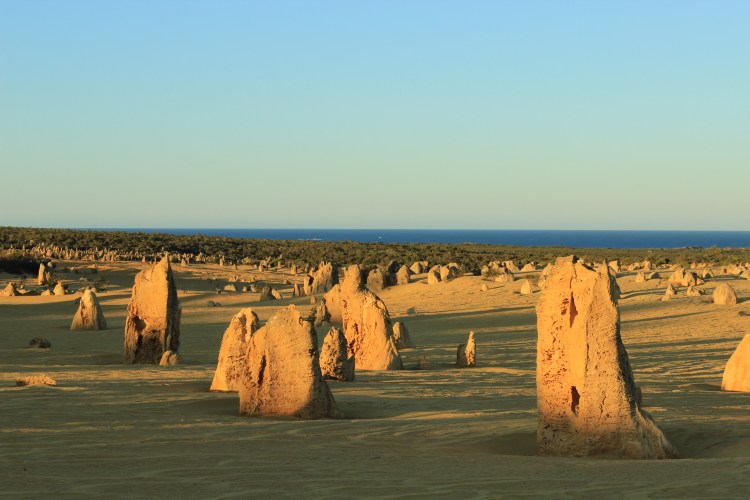 The Pinnacles (63)