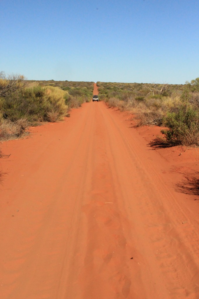 Francois Peron NP (114)