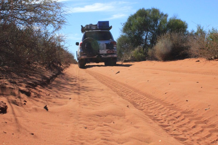 Francois Peron NP (118)