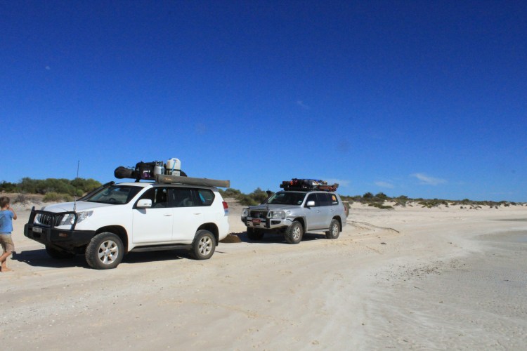 Francois Peron NP (123)