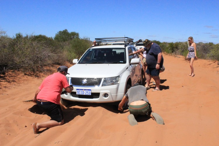 Francois Peron NP (24) - Copy