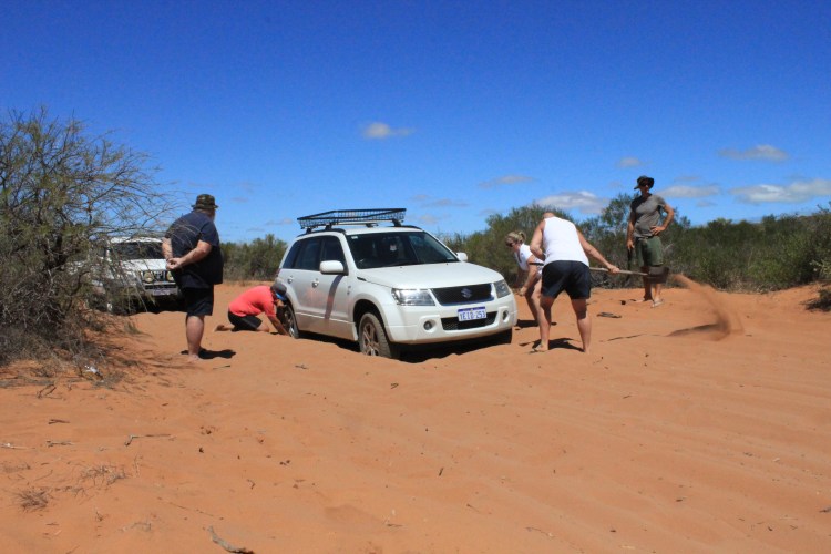 Francois Peron NP (28) - Copy