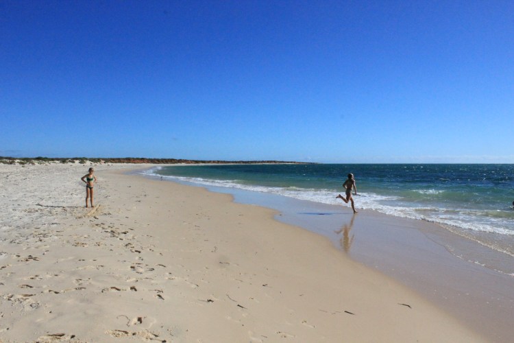 Francois Peron NP (40) - Copy