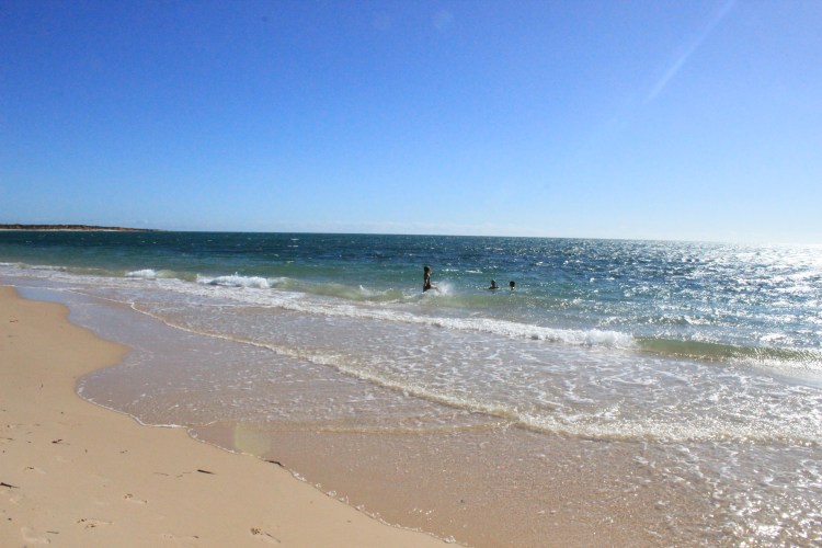 Francois Peron NP (42) - Copy