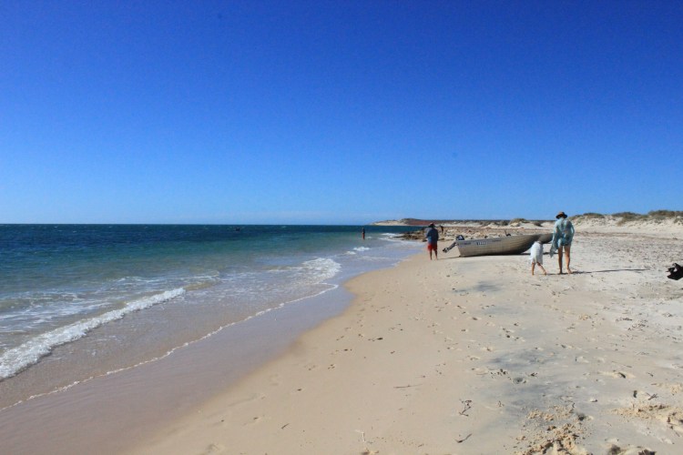 Francois Peron NP (43) - Copy