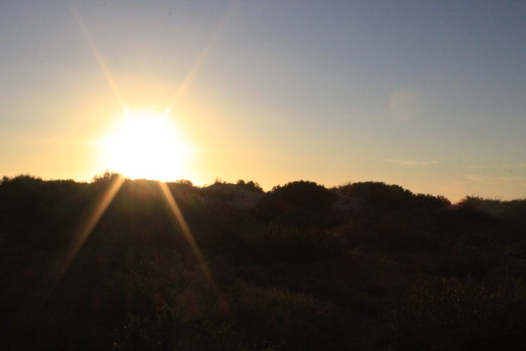 Francois Peron NP (50) - Copy