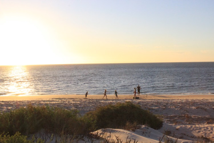 Francois Peron NP (53) - Copy