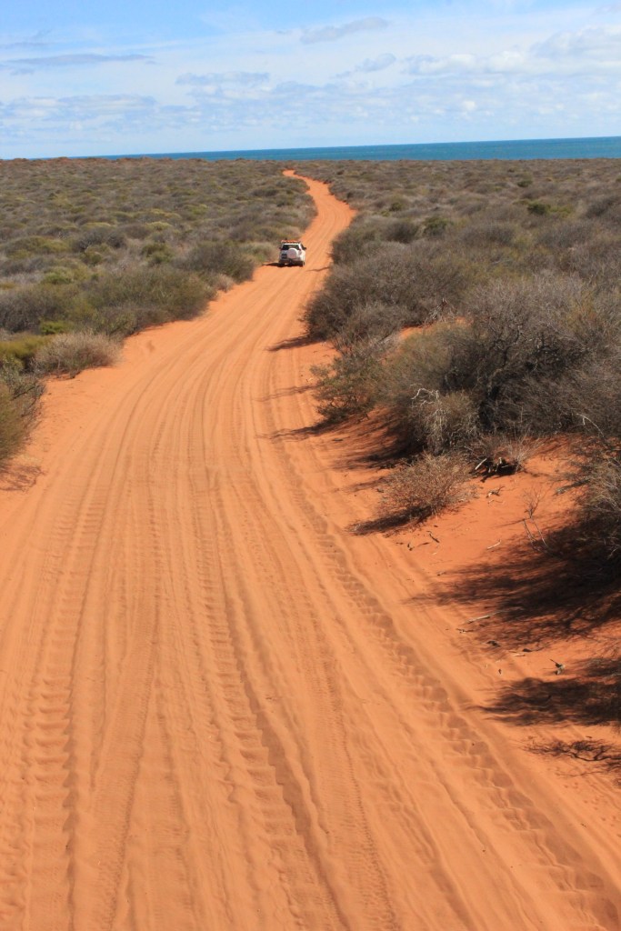 Francois Peron NP (75)