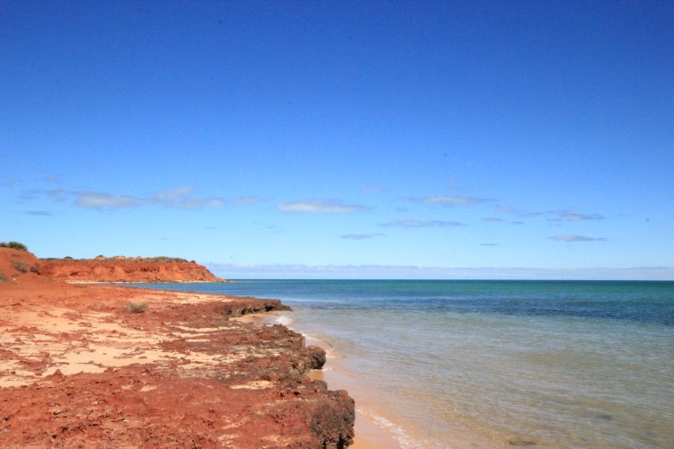 Francois Peron NP (79)