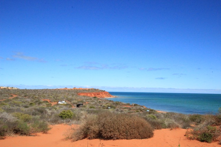 Francois Peron NP (81)