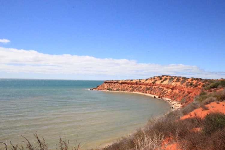 Francois Peron NP (85)