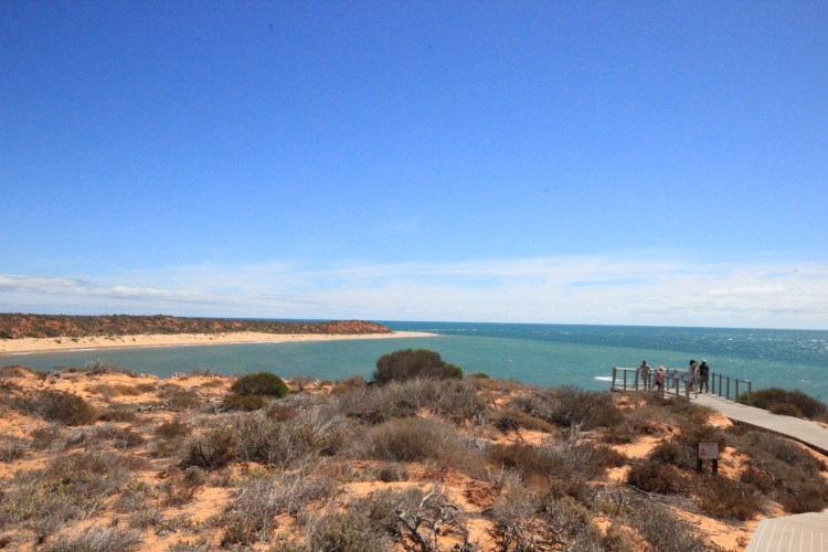 Francois Peron NP (87)