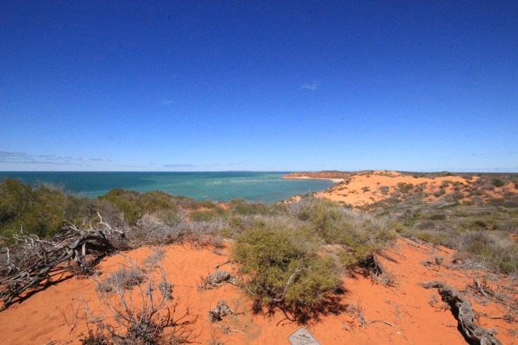 Francois Peron NP (91)