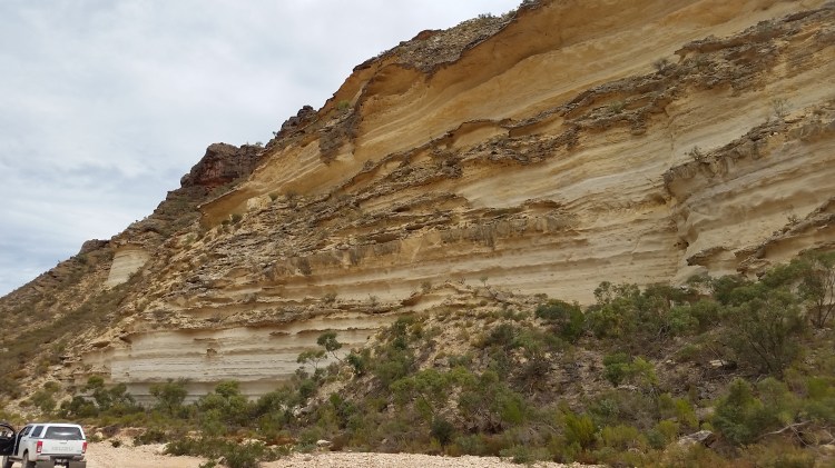 20160413_104234 - Copy