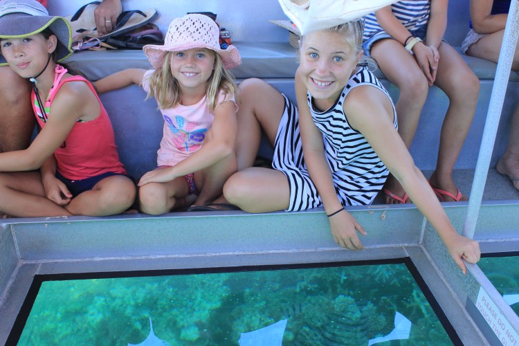 Glass bottom boat tour (29)