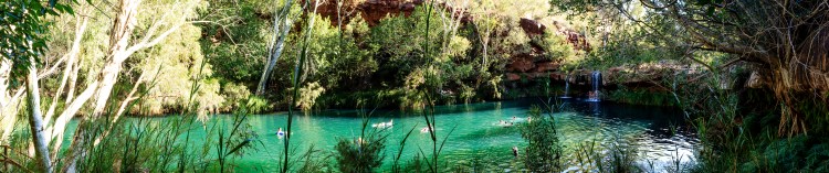 Karijini Fern Pool