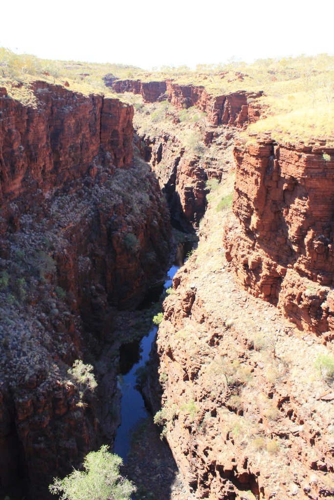 Karijini NP (158)