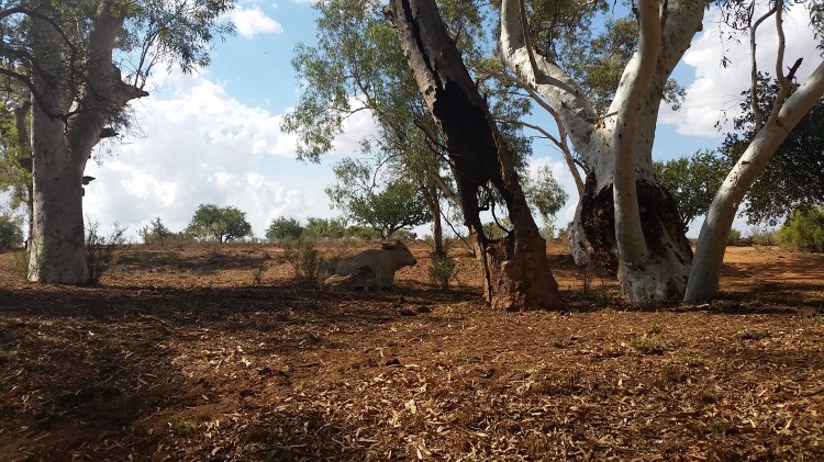 20160501_135525 - Copy