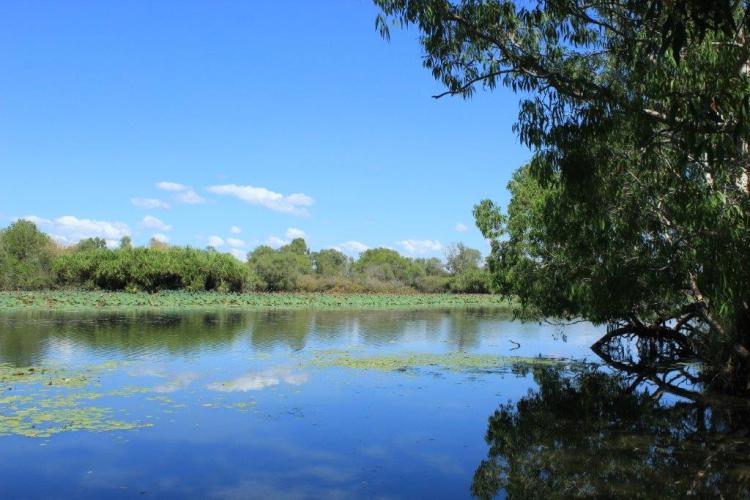 Kakadu NP (7)