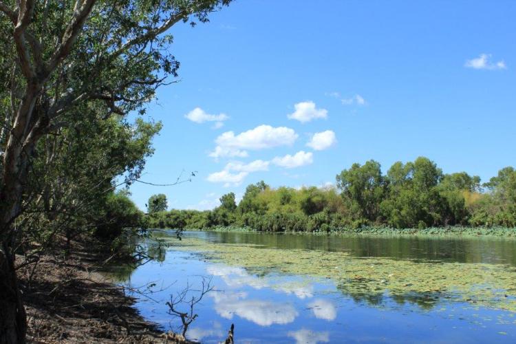 Kakadu NP (8)