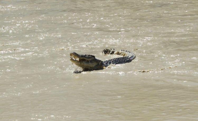 Kakadu NP (94)